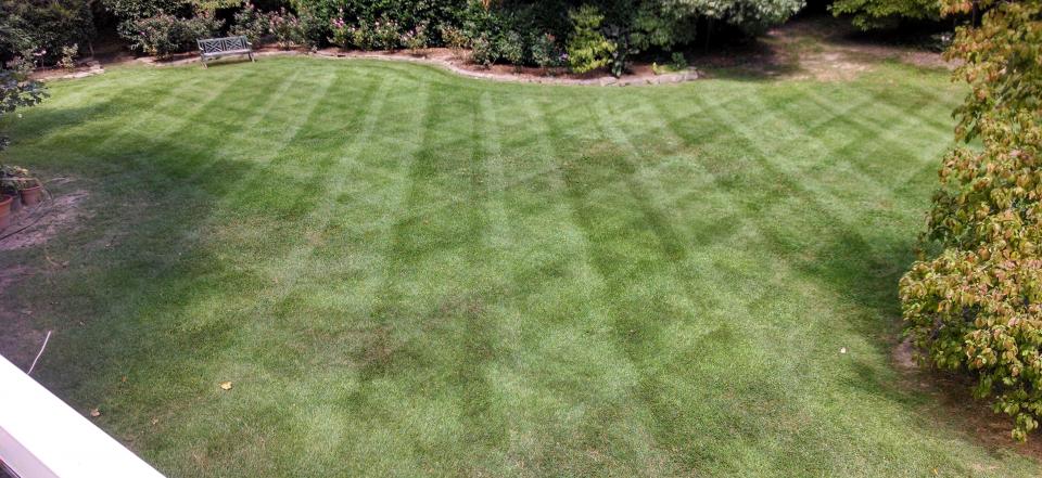 Let us help you create the lawn of your dreams!